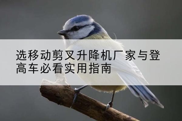 留坝电动升降机厂家-选移动剪叉升降机厂家与登高车必看实用指南