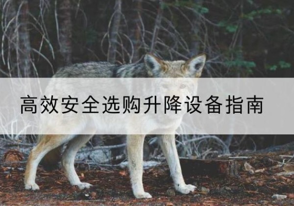 留坝升降货梯厂家推荐-*安全选购升降设备指南