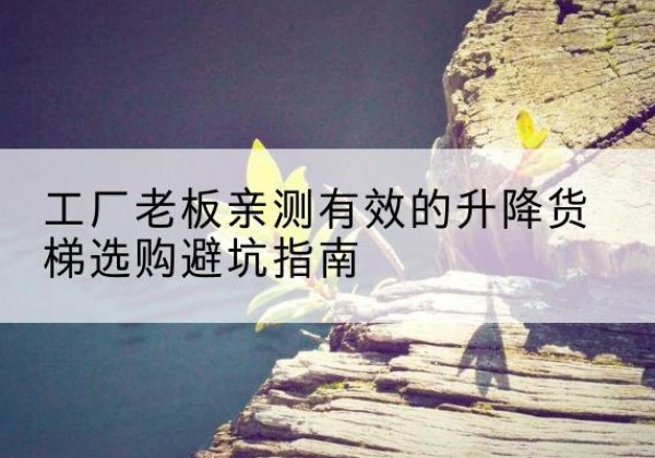 留坝升降货梯怎么选-工厂老板亲测有效的升降货梯选购避坑指南